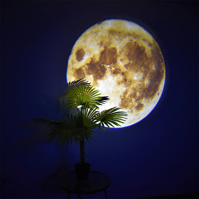 Moon and Earth Projection Lamp