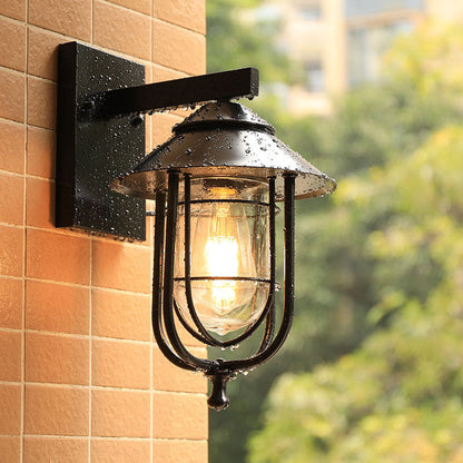 Industrial Bird Cage Iron Glass 1-Light Wall Sconce Lamp