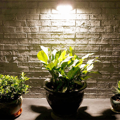 Solar Outdoor Waterproof Patio LED Wall Sconce Lamp