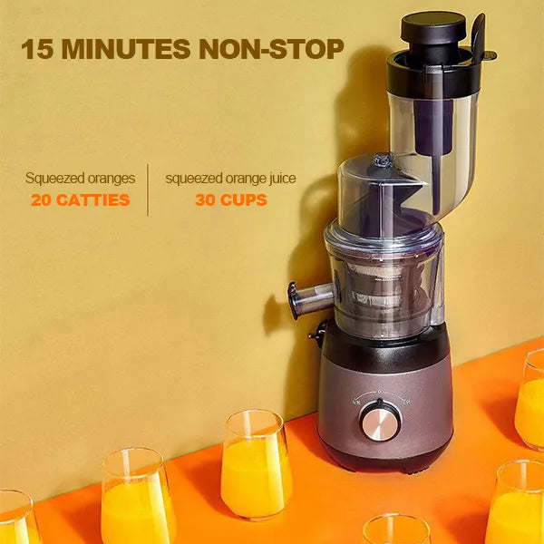 Automatic Juicer for Fruits and Vegetables