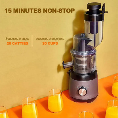 Automatic Juicer for Fruits and Vegetables