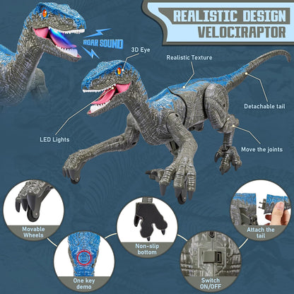Remote Control Dinosaur Toy