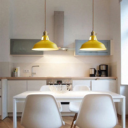 Industrial Colorful Barn Shade 1-Light Pendant Light