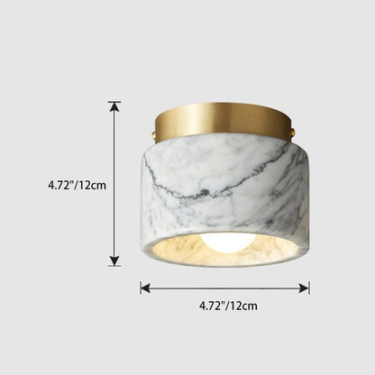 Contemporary Metal Ceiling Light