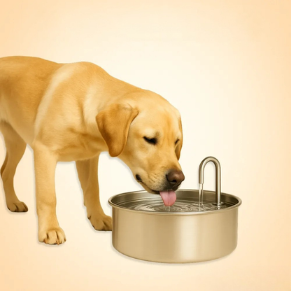 Automatic Pet Water Fountain, 8 Liter