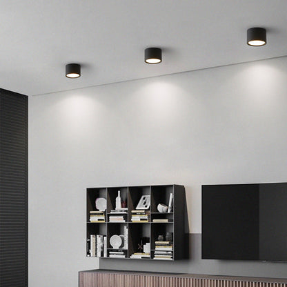 Modern Minimalist Cylinder Aluminum Acrylic LED Flush Mount Ceiling Light For Hallways