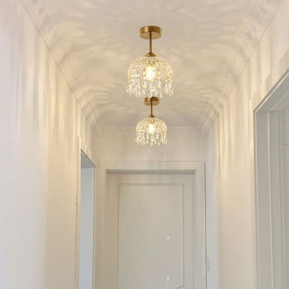 Modern Iron Flower Ceiling Light