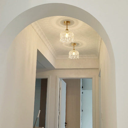 Modern Iron Flower Ceiling Light