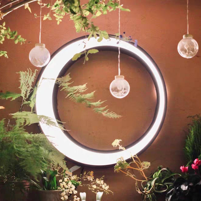 Stainless PC Round Moon LED Wall Sconce Lamp Outdoor Patio