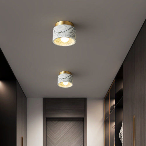 Contemporary Metal Ceiling Light