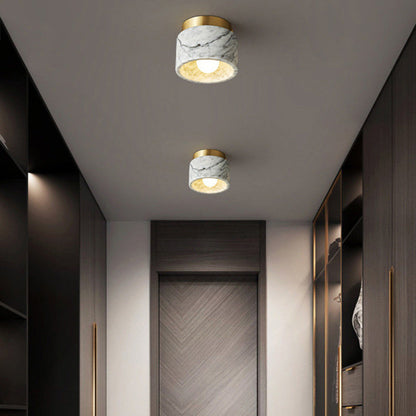Contemporary Metal Ceiling Light