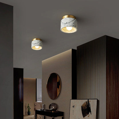 Contemporary Metal Ceiling Light