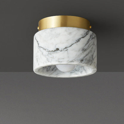 Contemporary Metal Ceiling Light