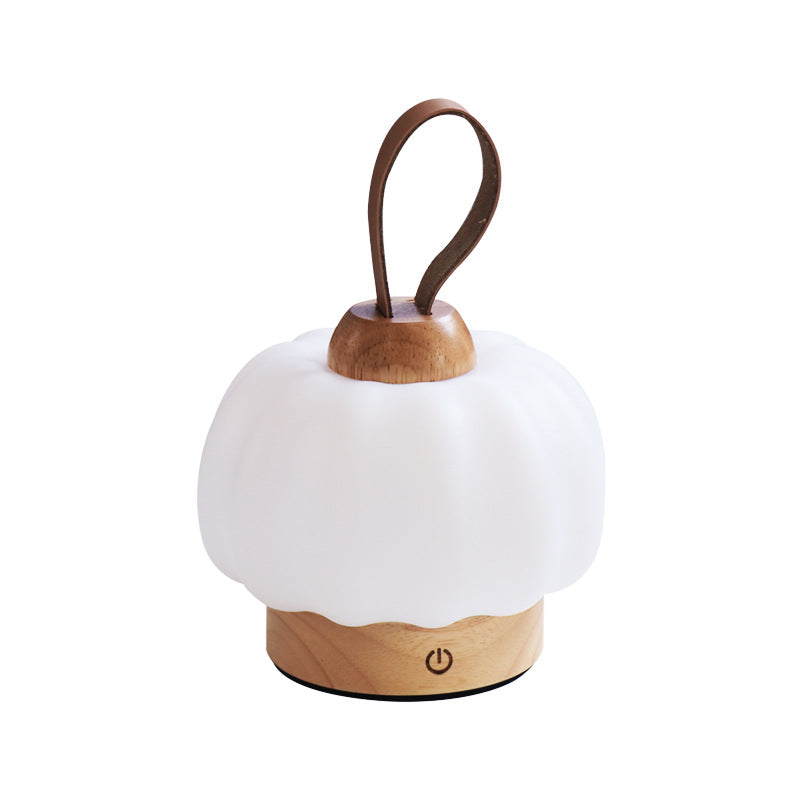 Rechargeable Hanging LED Wall Sconce Lamp Night Light