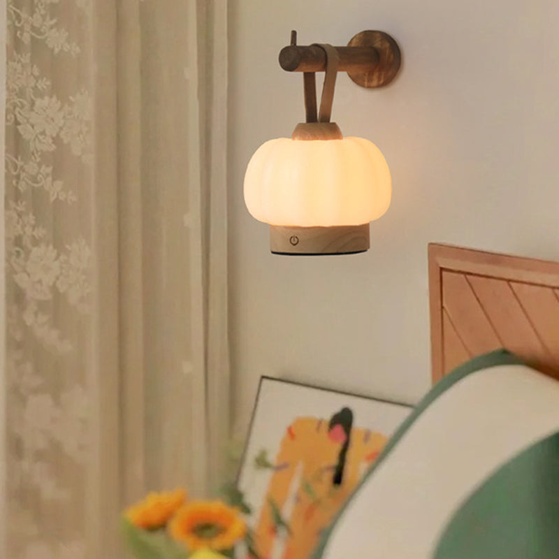 Rechargeable Hanging LED Wall Sconce Lamp Night Light