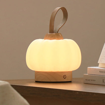 Rechargeable Hanging LED Wall Sconce Lamp Night Light