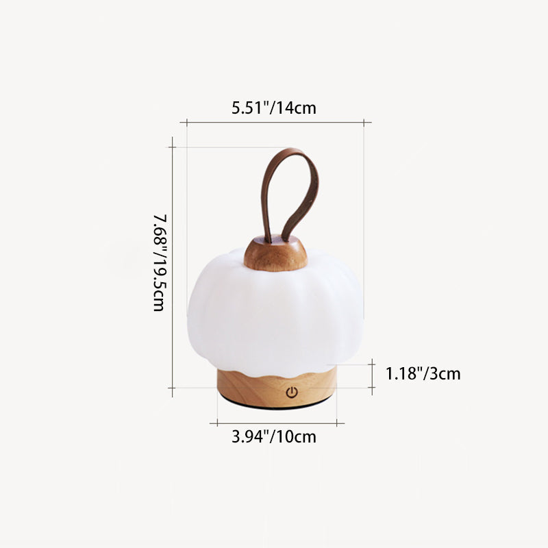 Rechargeable Hanging LED Wall Sconce Lamp Night Light