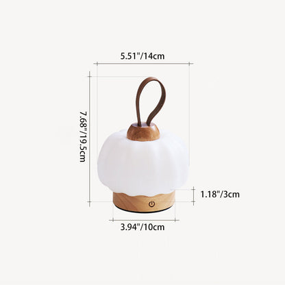 Rechargeable Hanging LED Wall Sconce Lamp Night Light
