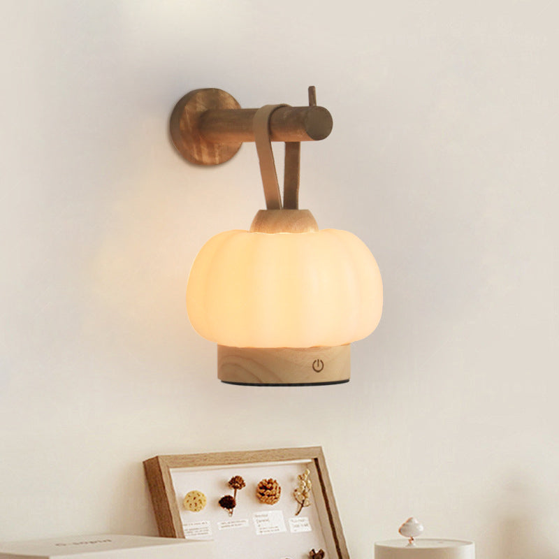 Rechargeable Hanging LED Wall Sconce Lamp Night Light