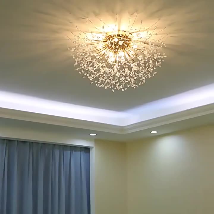 Contemporary Dandelion Ceiling Light
