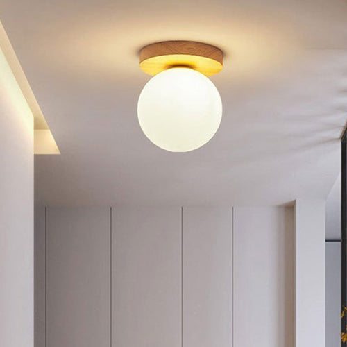 Modern Glass Globe Ceiling Light
