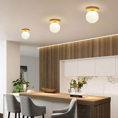 Modern Glass Globe Ceiling Light