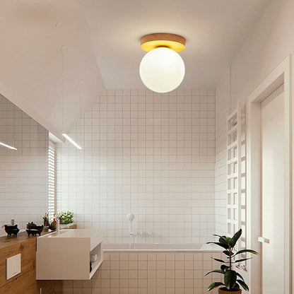 Modern Glass Globe Ceiling Light