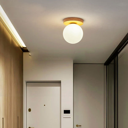 Modern Glass Globe Ceiling Light