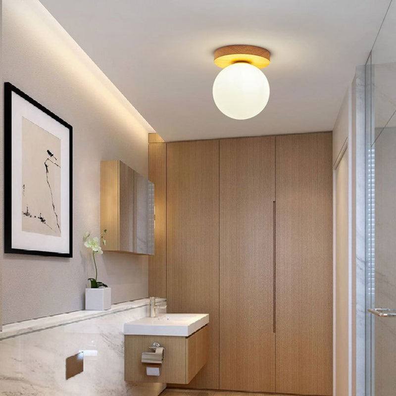 Modern Glass Globe Ceiling Light