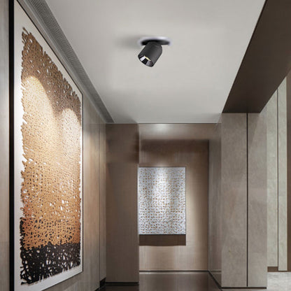 Modern Minimalist Aluminum Ceiling Light