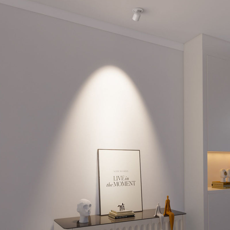 Modern Minimalist Aluminum Ceiling Light