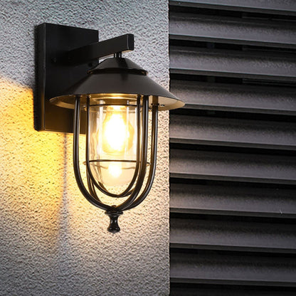 Traditional Birdcage Iron Glass 1-Light Wall Sconce Lamp