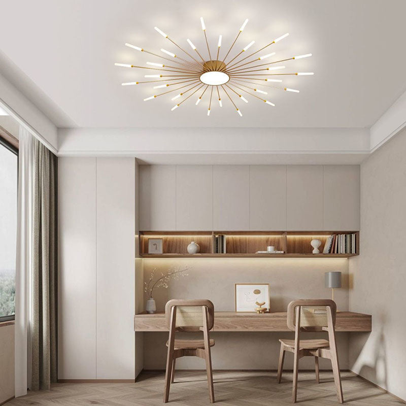 Contemporary Aluminum Iron Ceiling Light