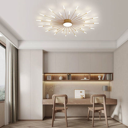 Contemporary Aluminum Iron Ceiling Light