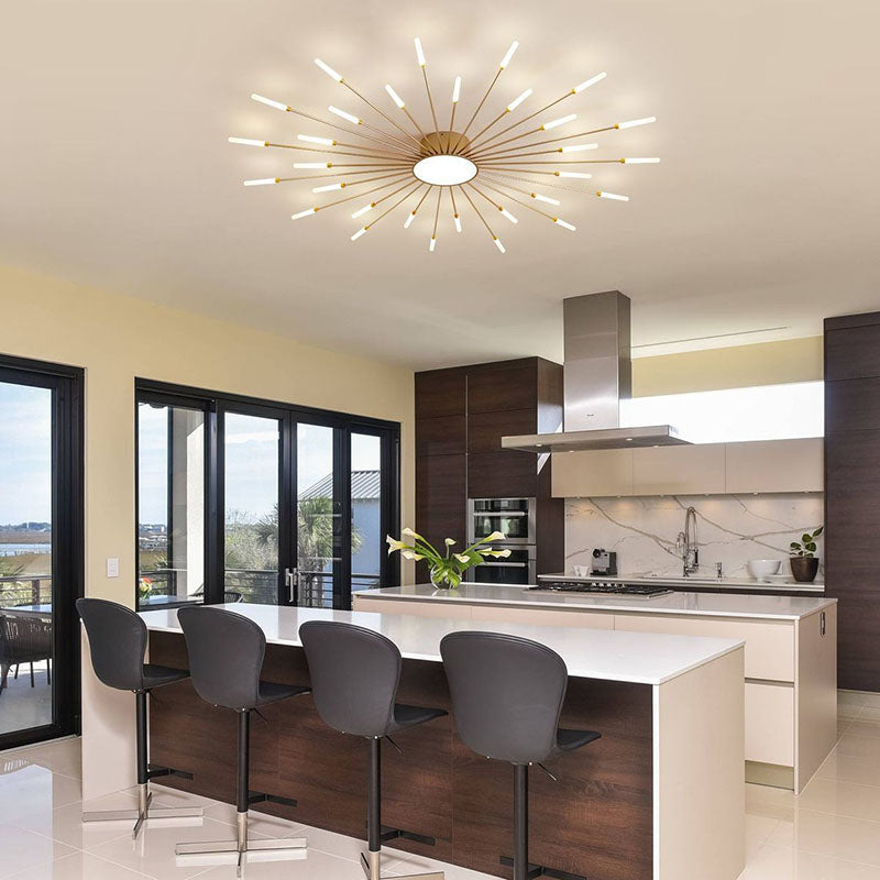 Contemporary Aluminum Iron Ceiling Light