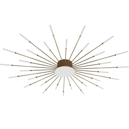 Contemporary Aluminum Iron Ceiling Light