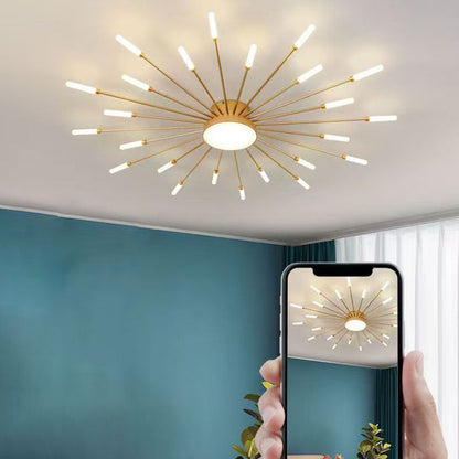 Contemporary Aluminum Iron Ceiling Light