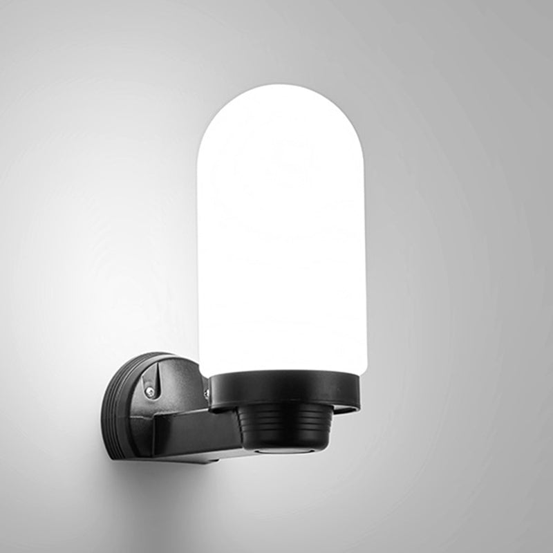 Simplicity Ball Acrylic ABS Iron 1-Light Wall Sconce Lamp