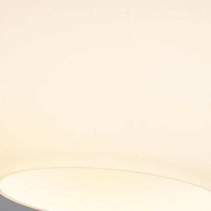 Traditional Orb Ceiling Light