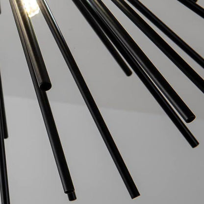 Contemporary Stainless Steel Ceiling Light