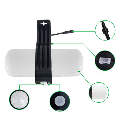 Simplicity PC Oval Human Body Sensor LED Wall Sconce Lamp