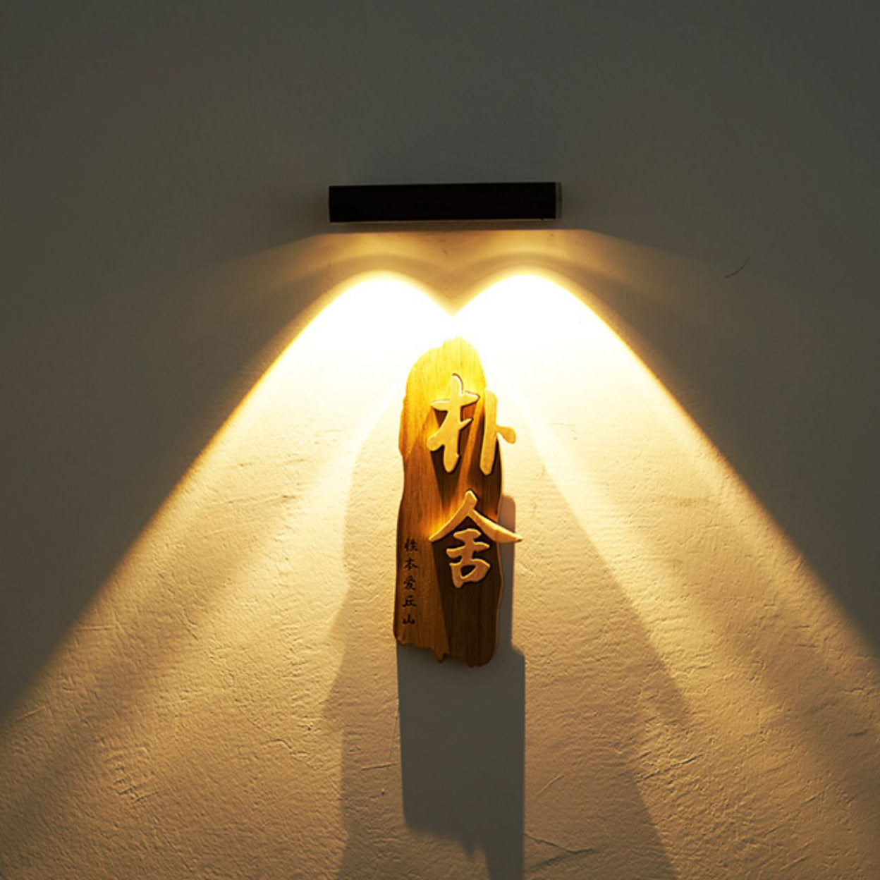 Solar Light Shadow ABS Acrylic LED Wall Sconce Lamp