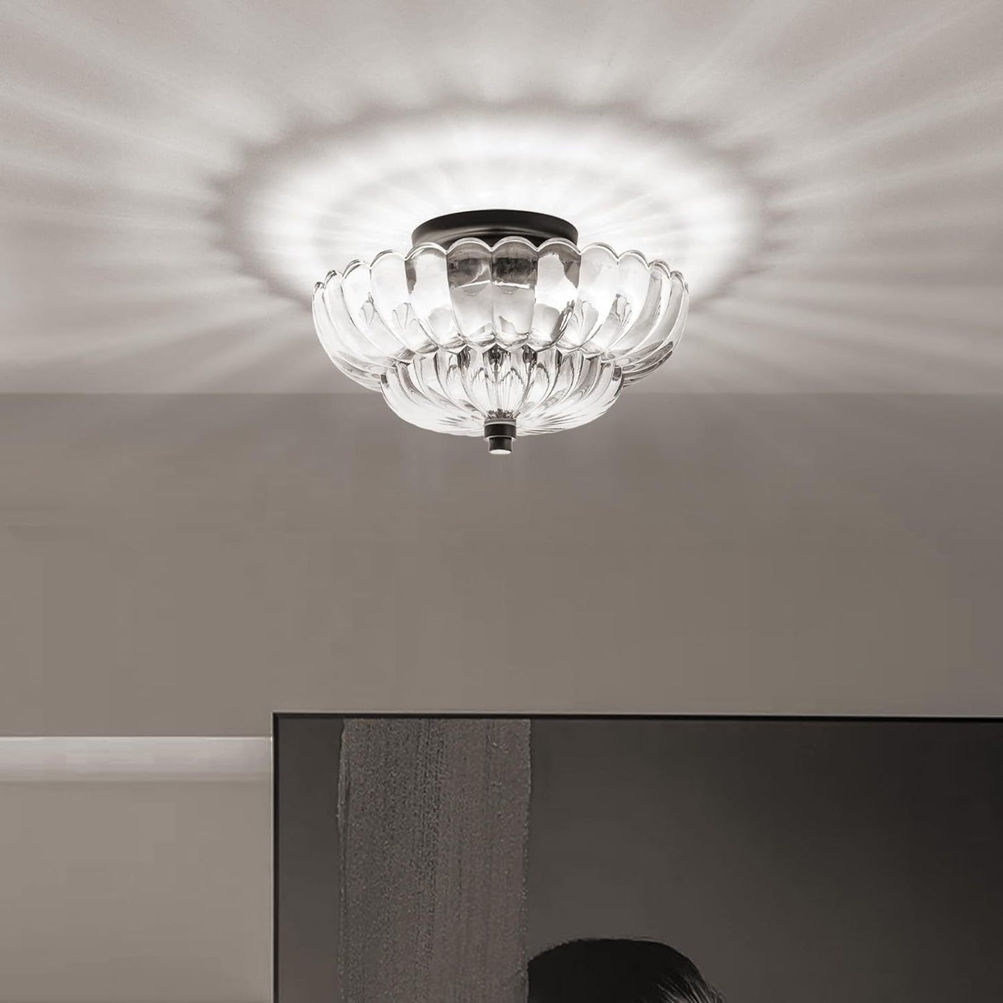 Contemporary Petal Ceiling Light