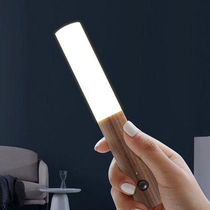 Simplicity Acrylic Strip LED Wall Sconce Lamp Night Light