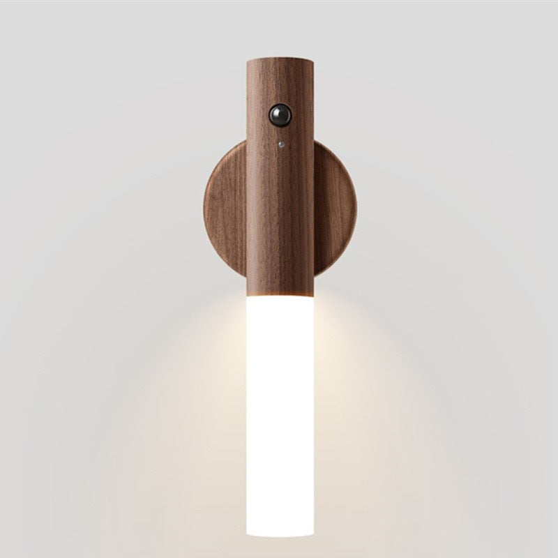 Simplicity Acrylic Strip LED Wall Sconce Lamp Night Light