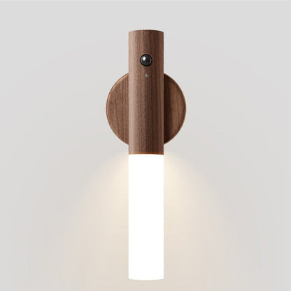 Simplicity Acrylic Strip LED Wall Sconce Lamp Night Light
