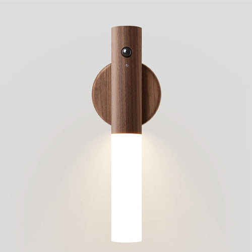 Simplicity Acrylic Strip LED Wall Sconce Lamp Night Light