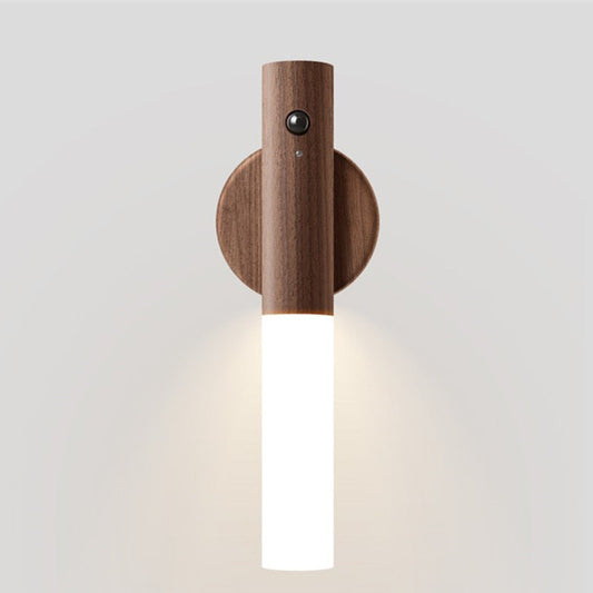 Simplicity Acrylic Strip LED Wall Sconce Lamp Night Light