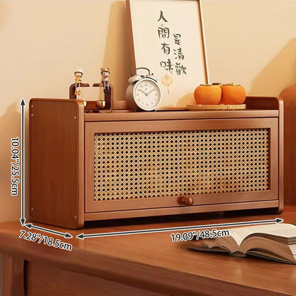 Contemporary Rattan Storage Cabinet