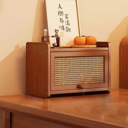 Contemporary Rattan Storage Cabinet
